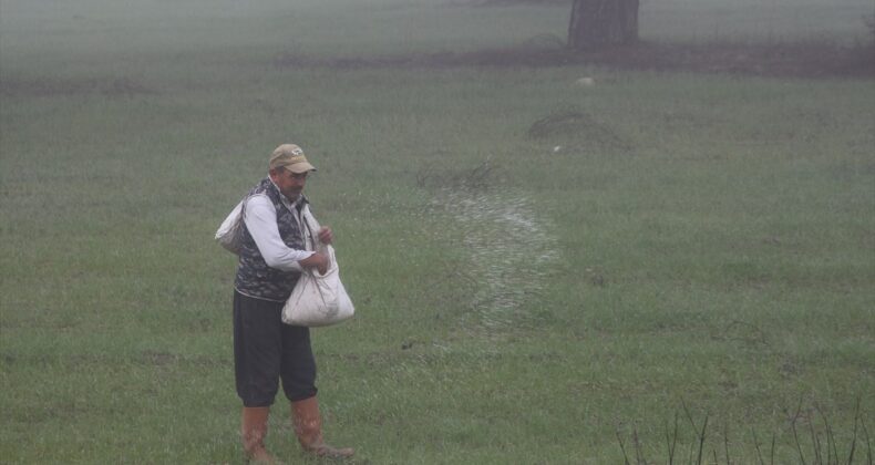 Antalya Kaş’taki sis tarım üretimine katkı sağlıyor