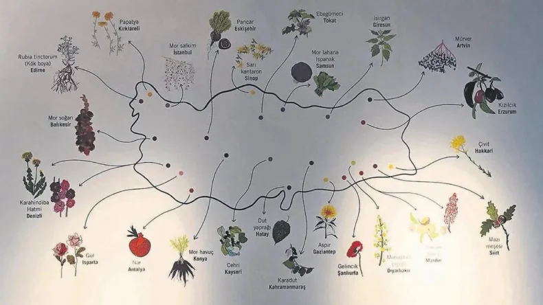 Ne ararsan Anadolu’da var – Cumartesi Sabah Haberleri
