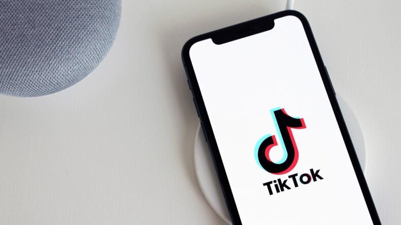 TikTok Kazanç Hesaplaması Nasıl Yapılır?