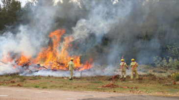Türkiye genelindeki yangınlarda son durum